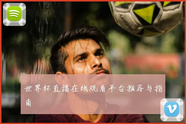 世界杯直播在线观看平台推荐与指南