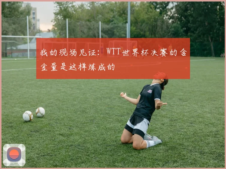 我的现场见证：WTT世界杯决赛的含金量是这样炼成的
