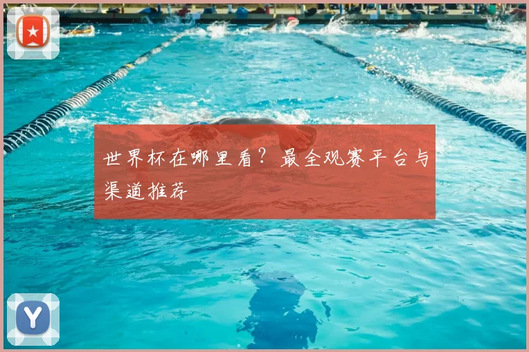世界杯在哪里看?最全观赛平台与渠道推荐