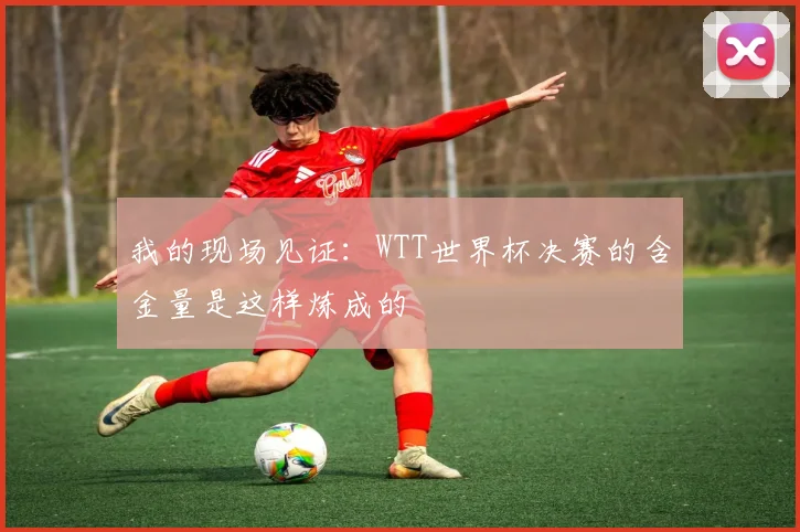 我的现场见证：WTT世界杯决赛的含金量是这样炼成的