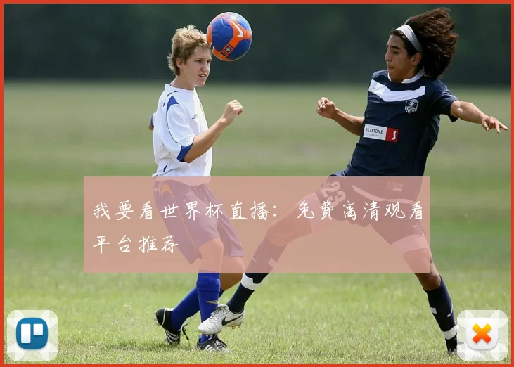 我要看世界杯直播：免费高清观看平台推荐