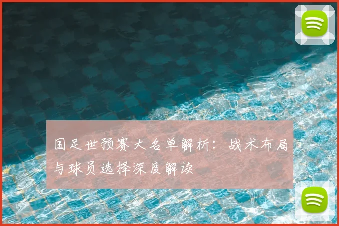 国足世预赛大名单解析：战术布局与球员选择深度解读