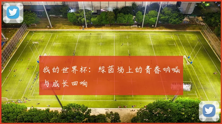 我的世界杯：绿茵场上的青春呐喊与成长回响